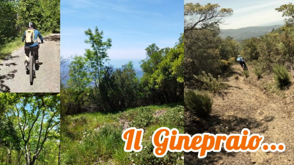 ginepraio romaggi mtb